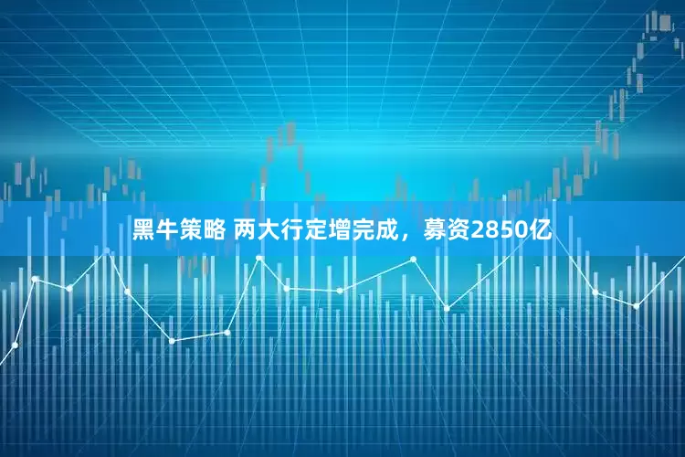 黑牛策略 两大行定增完成，募资2850亿