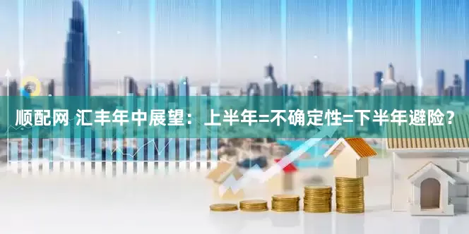 顺配网 汇丰年中展望：上半年=不确定性=下半年避险？