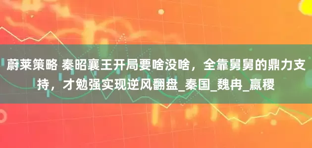 蔚莱策略 秦昭襄王开局要啥没啥，全靠舅舅的鼎力支持，才勉强实现逆风翻盘_秦国_魏冉_嬴稷