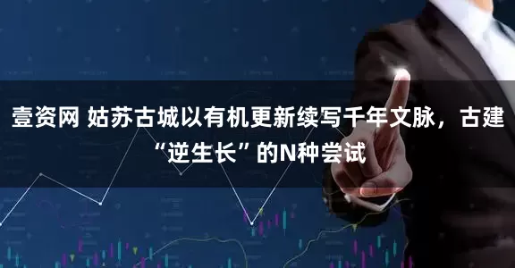 壹资网 姑苏古城以有机更新续写千年文脉，古建“逆生长”的N种尝试