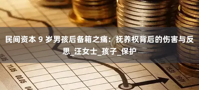 民间资本 9 岁男孩后备箱之痛：抚养权背后的伤害与反思_汪女士_孩子_保护