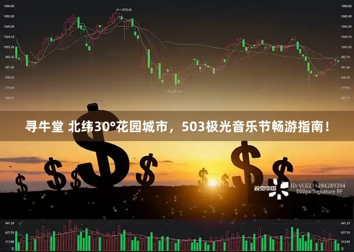 寻牛堂 北纬30°花园城市，503极光音乐节畅游指南！