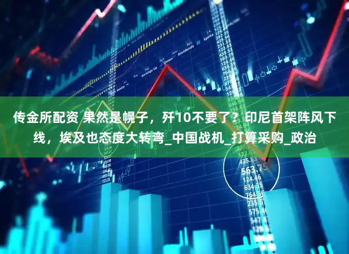传金所配资 果然是幌子，歼10不要了？印尼首架阵风下线，埃及也态度大转弯_中国战机_打算采购_政治