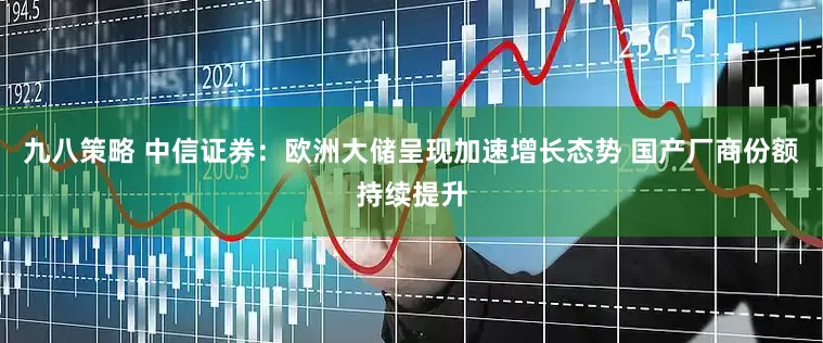 九八策略 中信证券：欧洲大储呈现加速增长态势 国产厂商份额持续提升